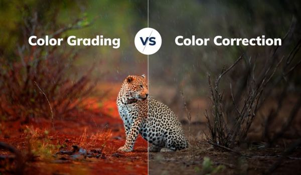 Color Grading & Correction